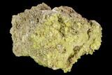 Sulfur Crystal Cluster on Matrix - Nevada #129735-1